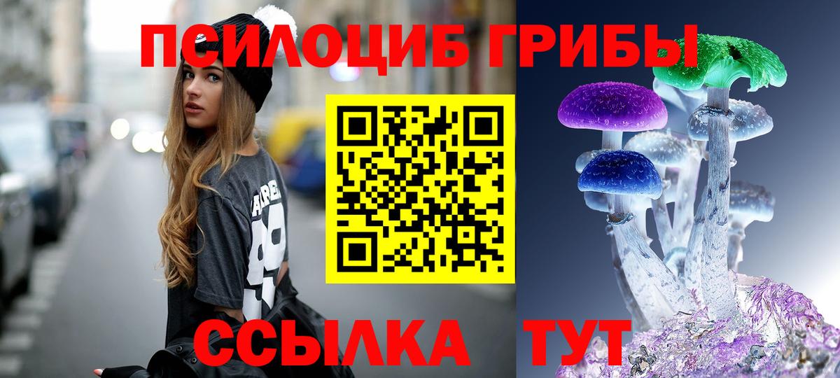Псилоцибиновые грибы Cubensis Воскресенск